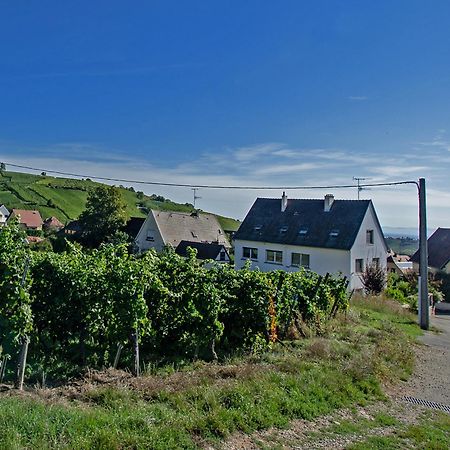 Gite Les Deux Belettes Riquewihr Exterior foto